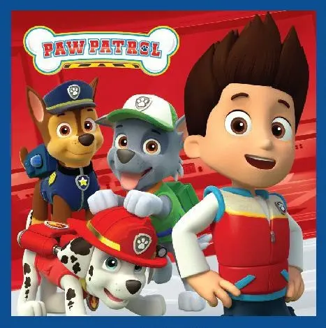 Paw Patrol Magic Brisača za roke, Brisača za obraz, Brisača 30x30cm fotografija izdelka