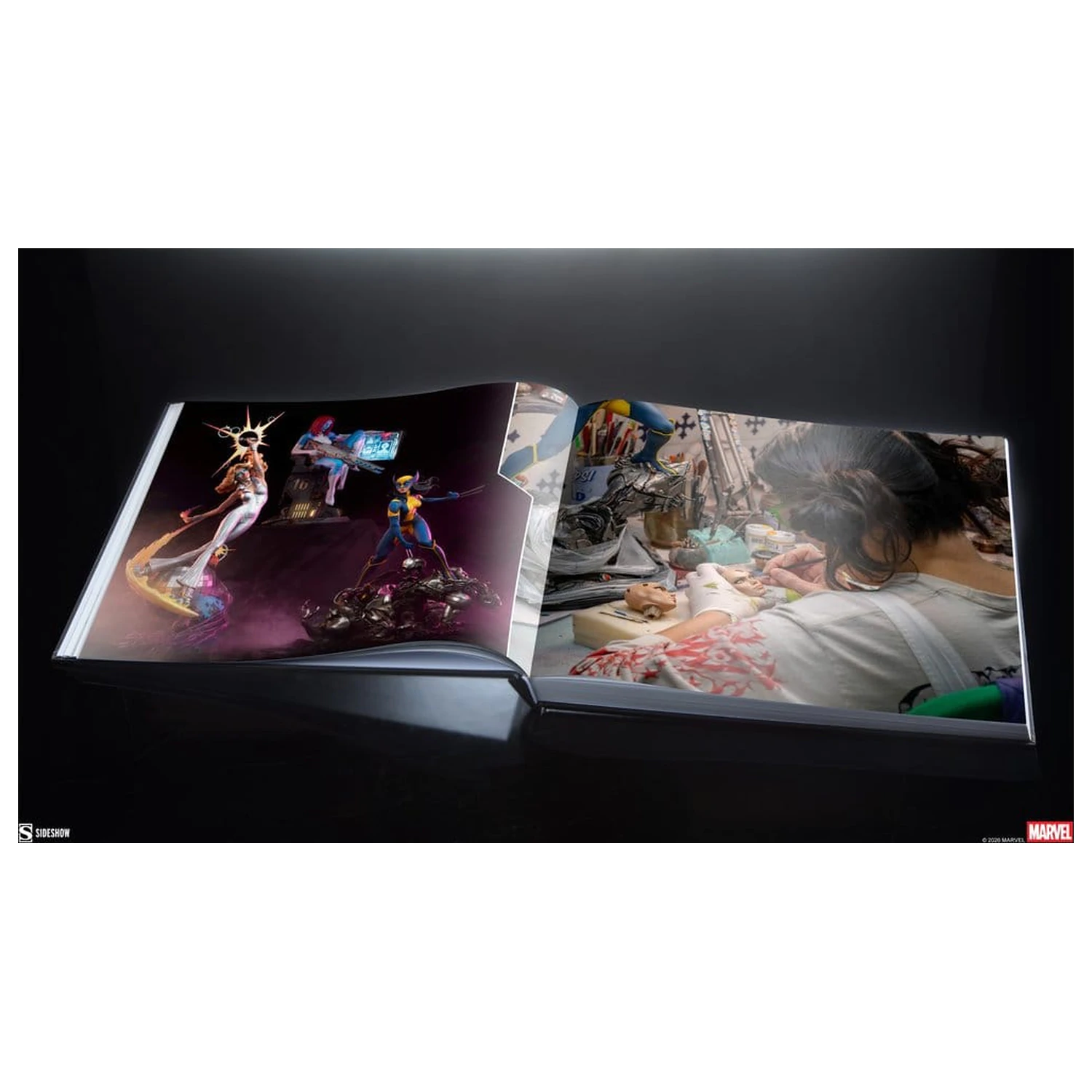 Marvel Book Zbiranje the Universe: The Art of Sideshow (Trda vezava) fotografija izdelka