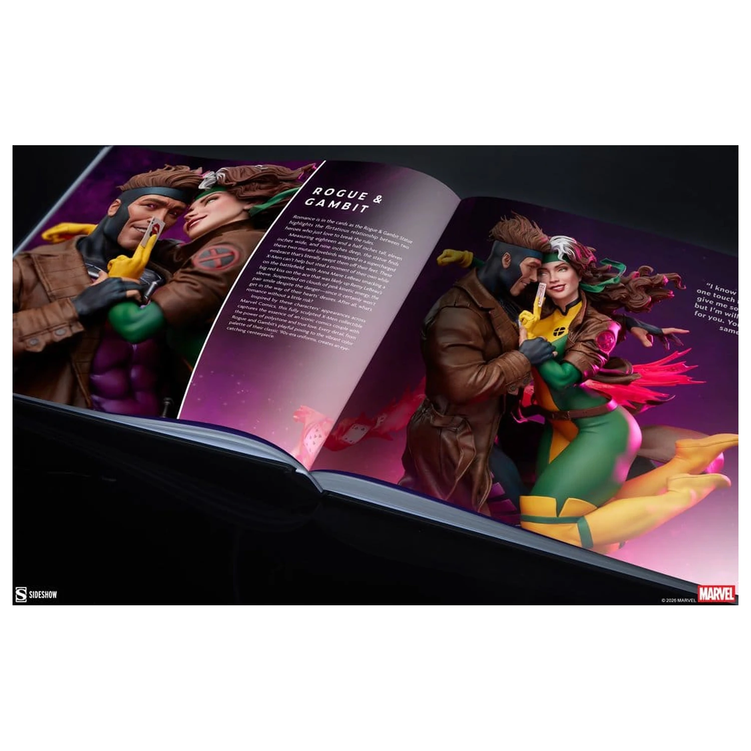 Marvel Book Zbiranje the Universe: The Art of Sideshow (Trda vezava) fotografija izdelka