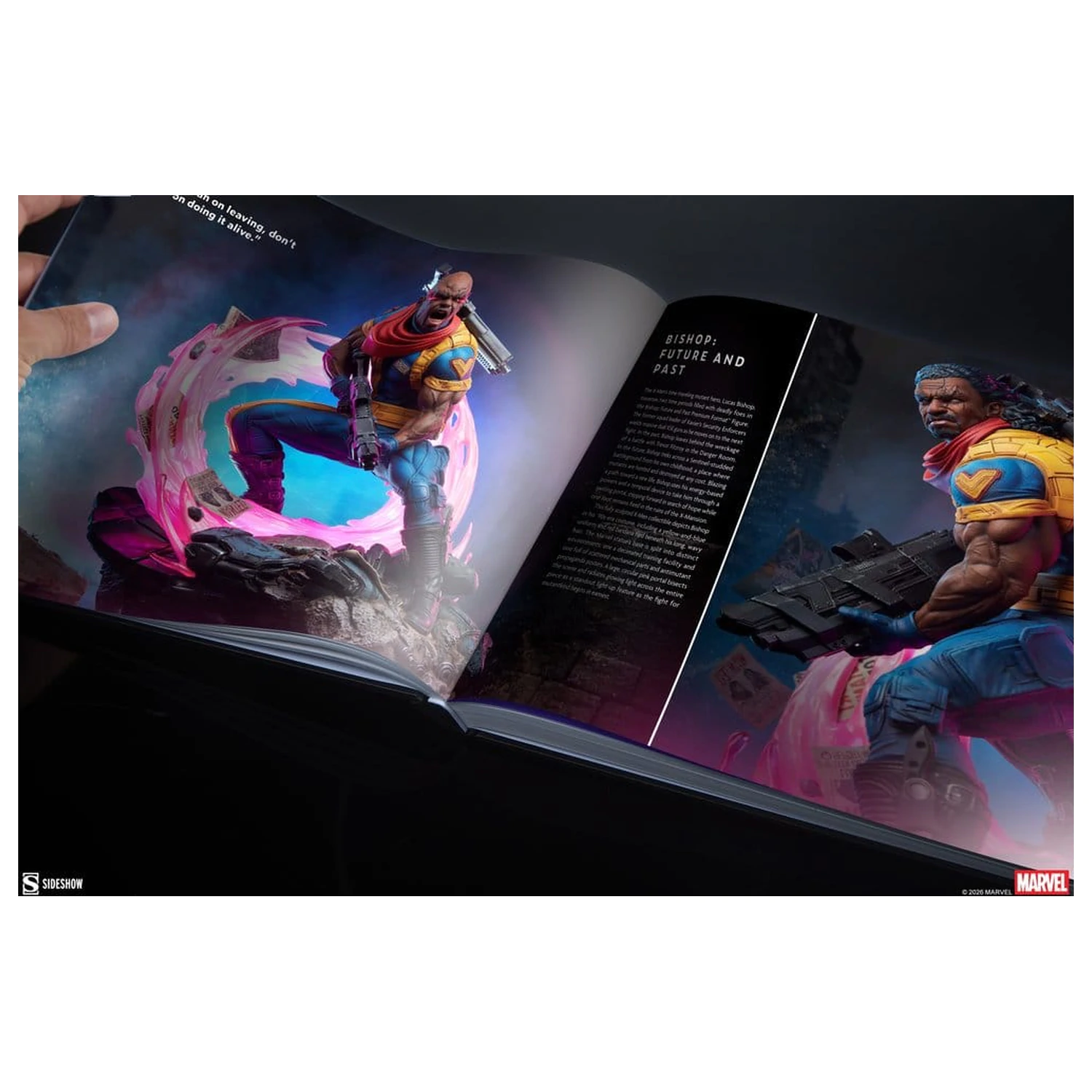 Marvel Book Zbiranje the Universe: The Art of Sideshow (Trda vezava) fotografija izdelka