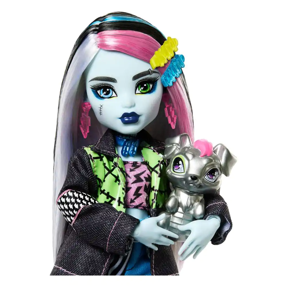 Monster High Punčka Frankie Stein 25 cm fotografija izdelka