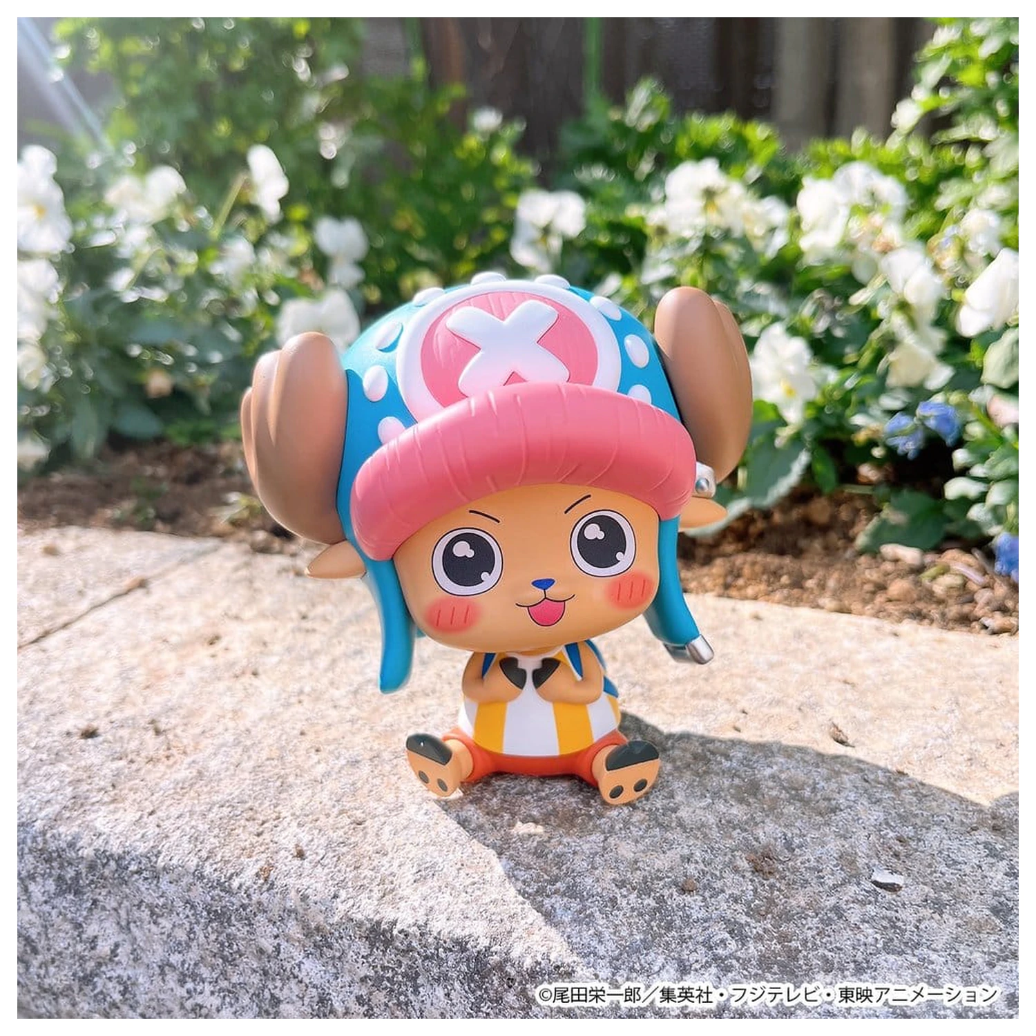 One Piece Lookup PVC figurici, 2-delni paket Nico Robin & Tony Tony Chopper Excited Ver. 11 cm (z darilom) fotografija izdelka