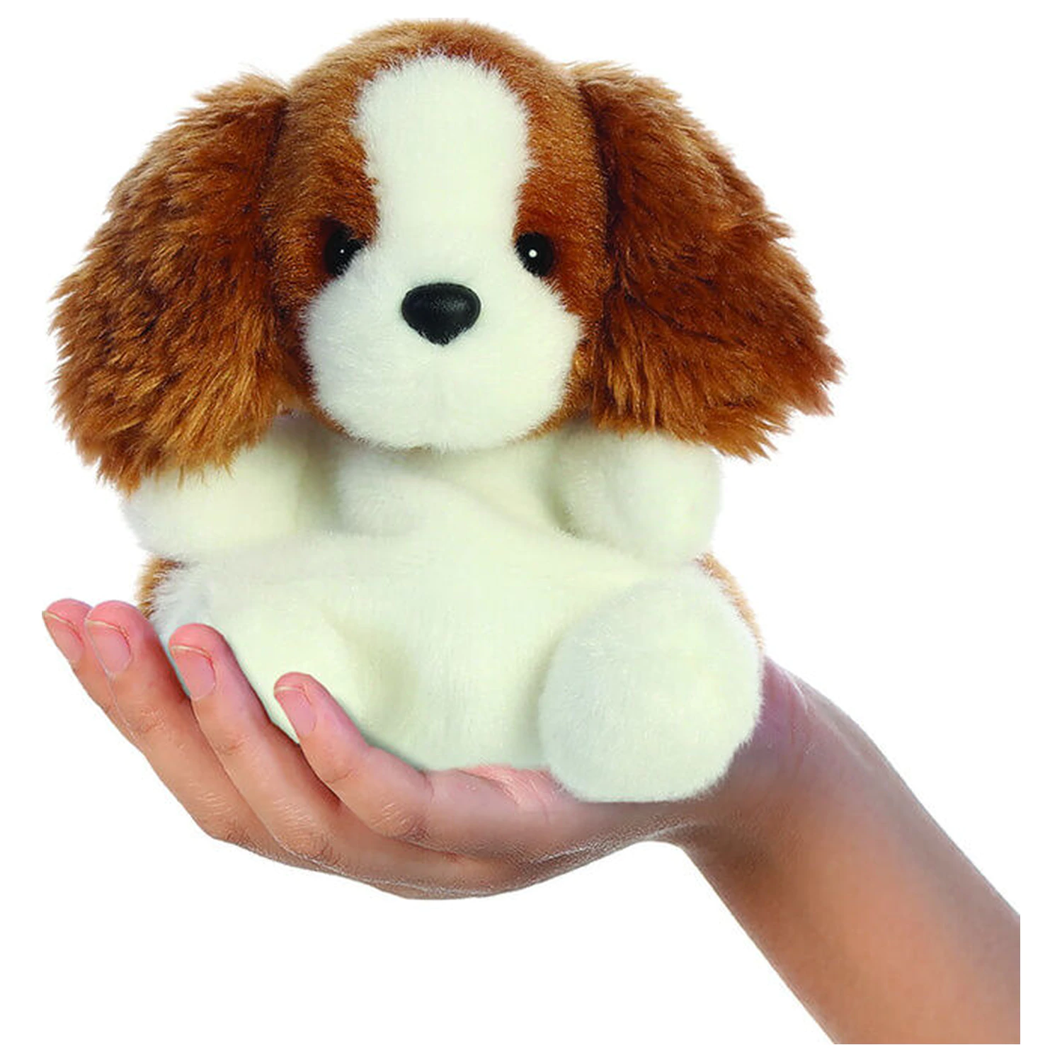 Palm Pals Charles Spaniel plišasta igrača 13cm fotografija izdelka