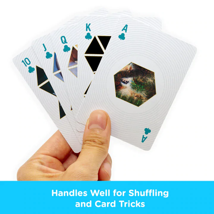 PINK FLOYD Igralne karte fotografija izdelka