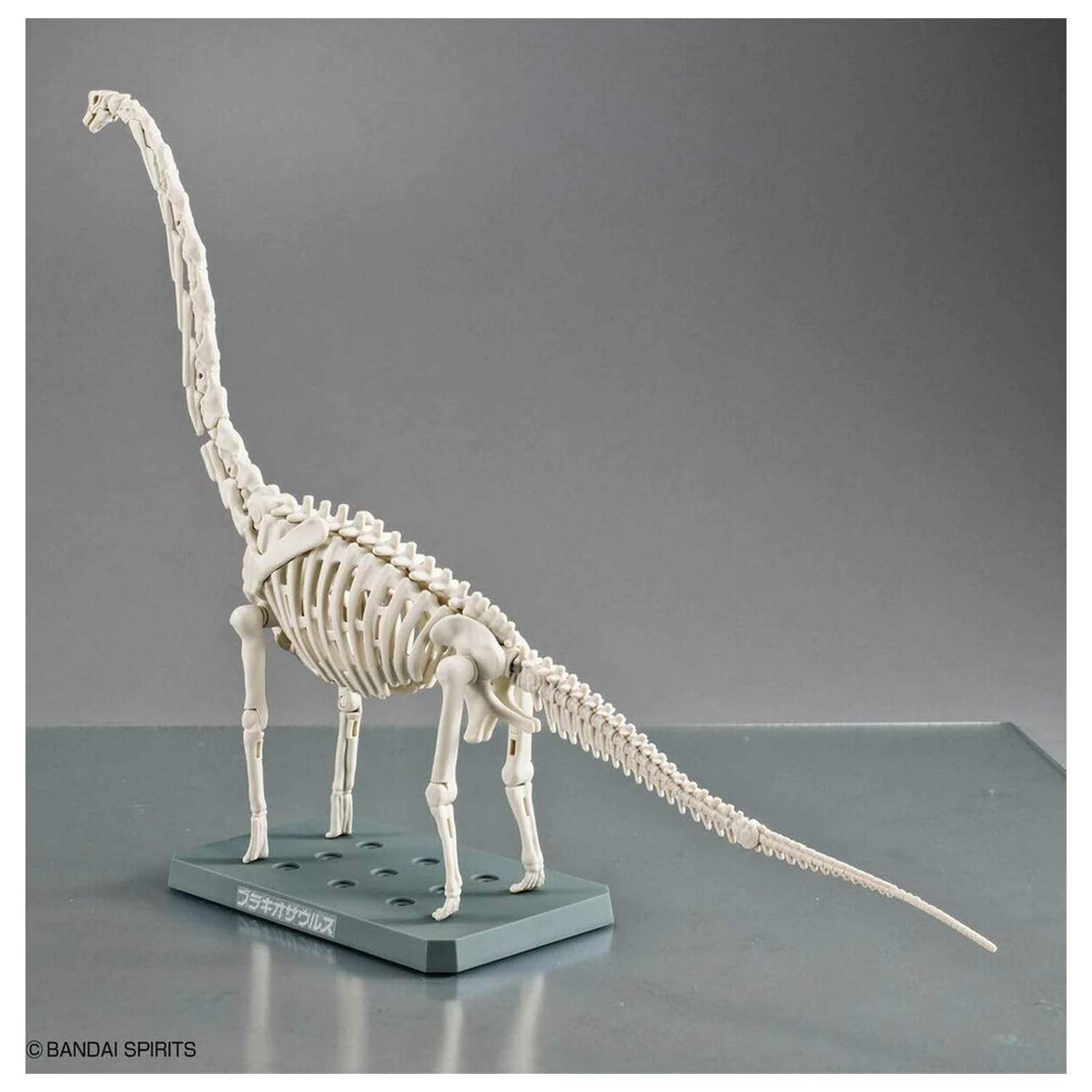 Model komplet Plannosaurus Brachiosaurus fotografija izdelka