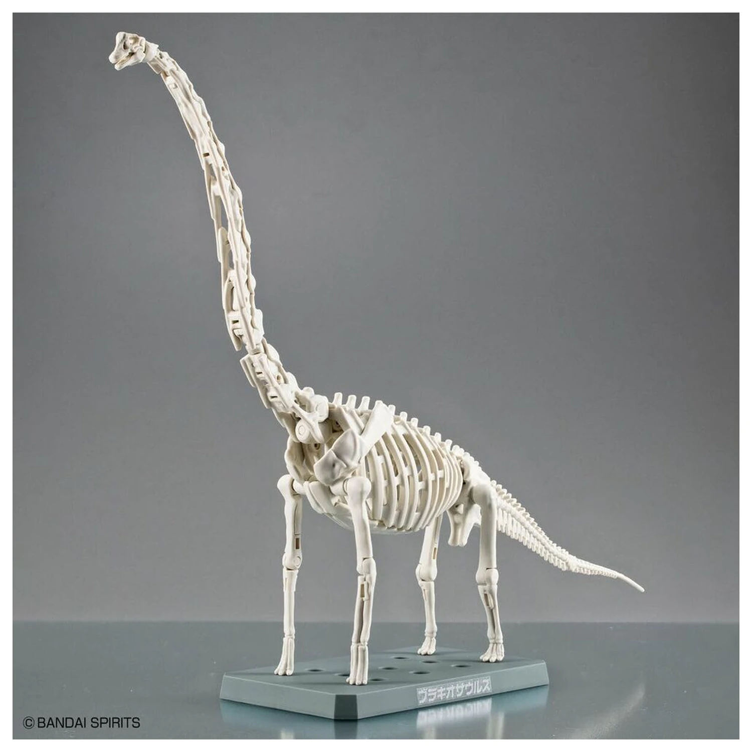 Model komplet Plannosaurus Brachiosaurus fotografija izdelka