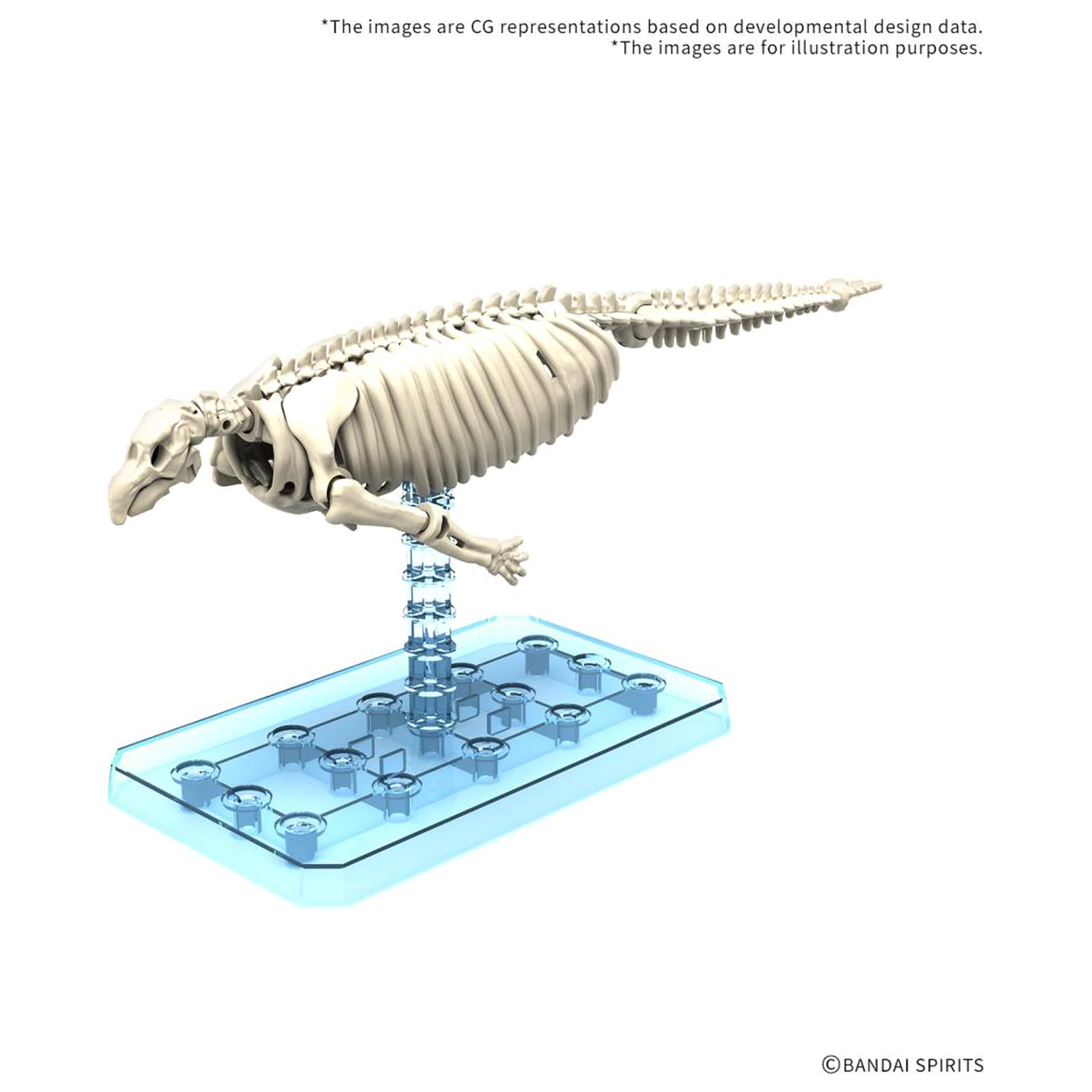 Plannosaurus Hydrodamalis gigas model za sestavljanje fotografija izdelka