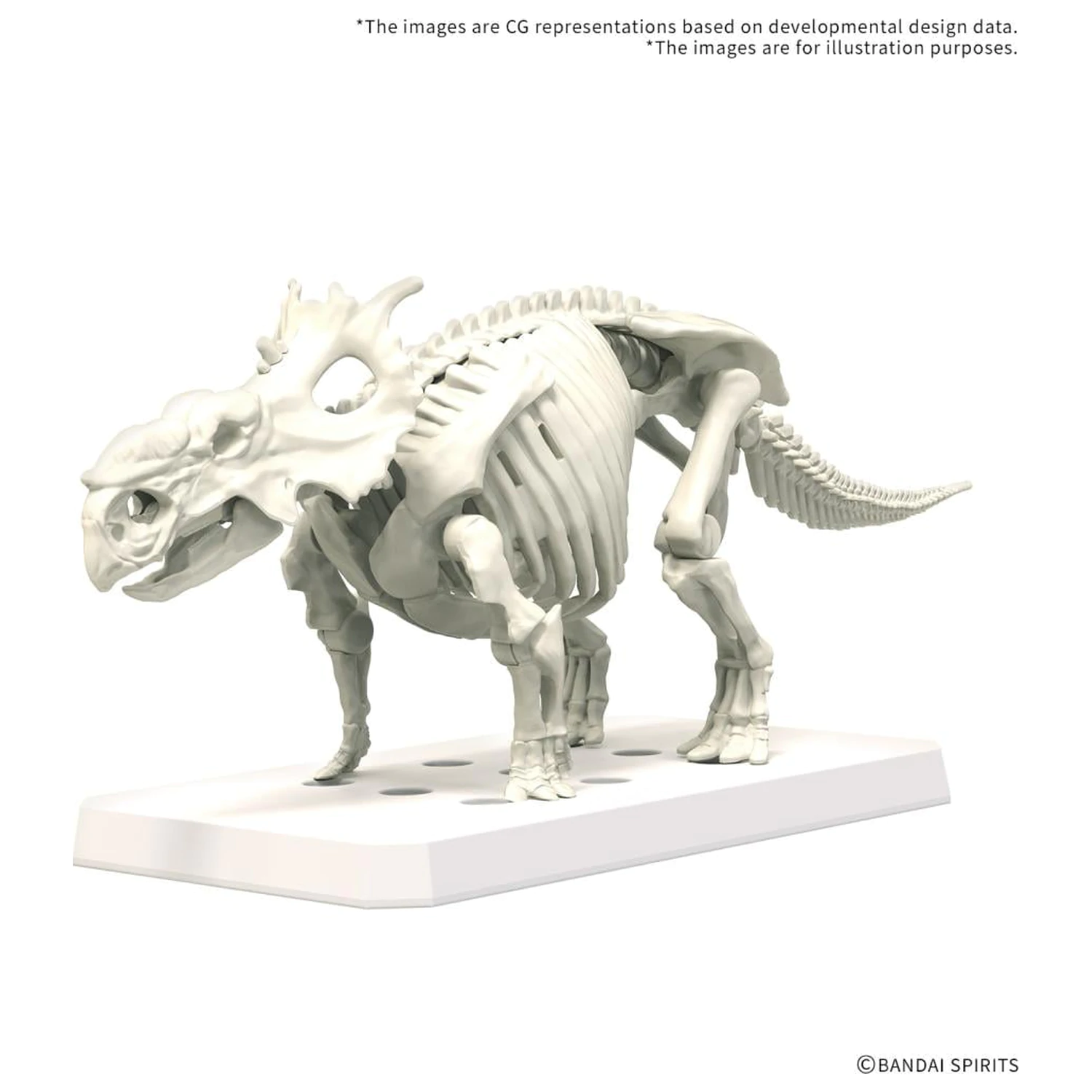 Plannosaurus Pachyrhinosaurus komplet modela fotografija izdelka