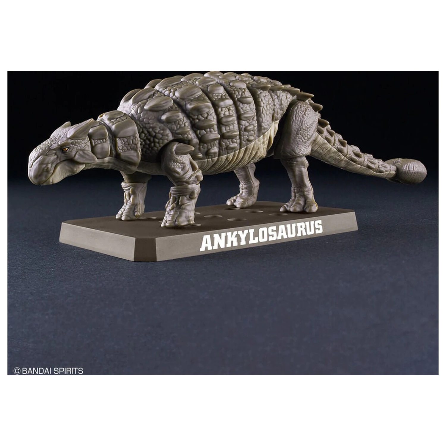 Planosaurus Ankylosaurus komplet modela fotografija izdelka