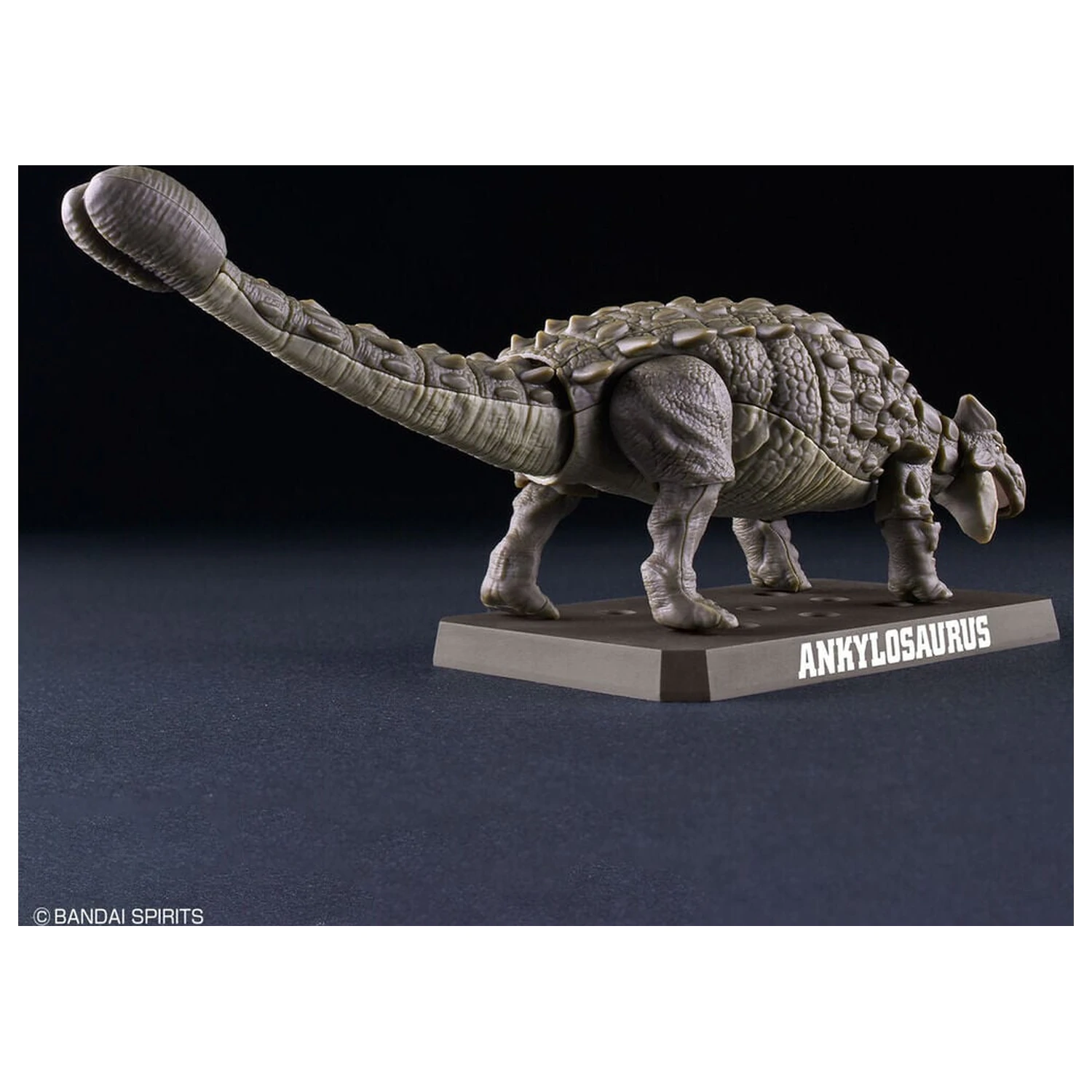 Planosaurus Ankylosaurus komplet modela fotografija izdelka