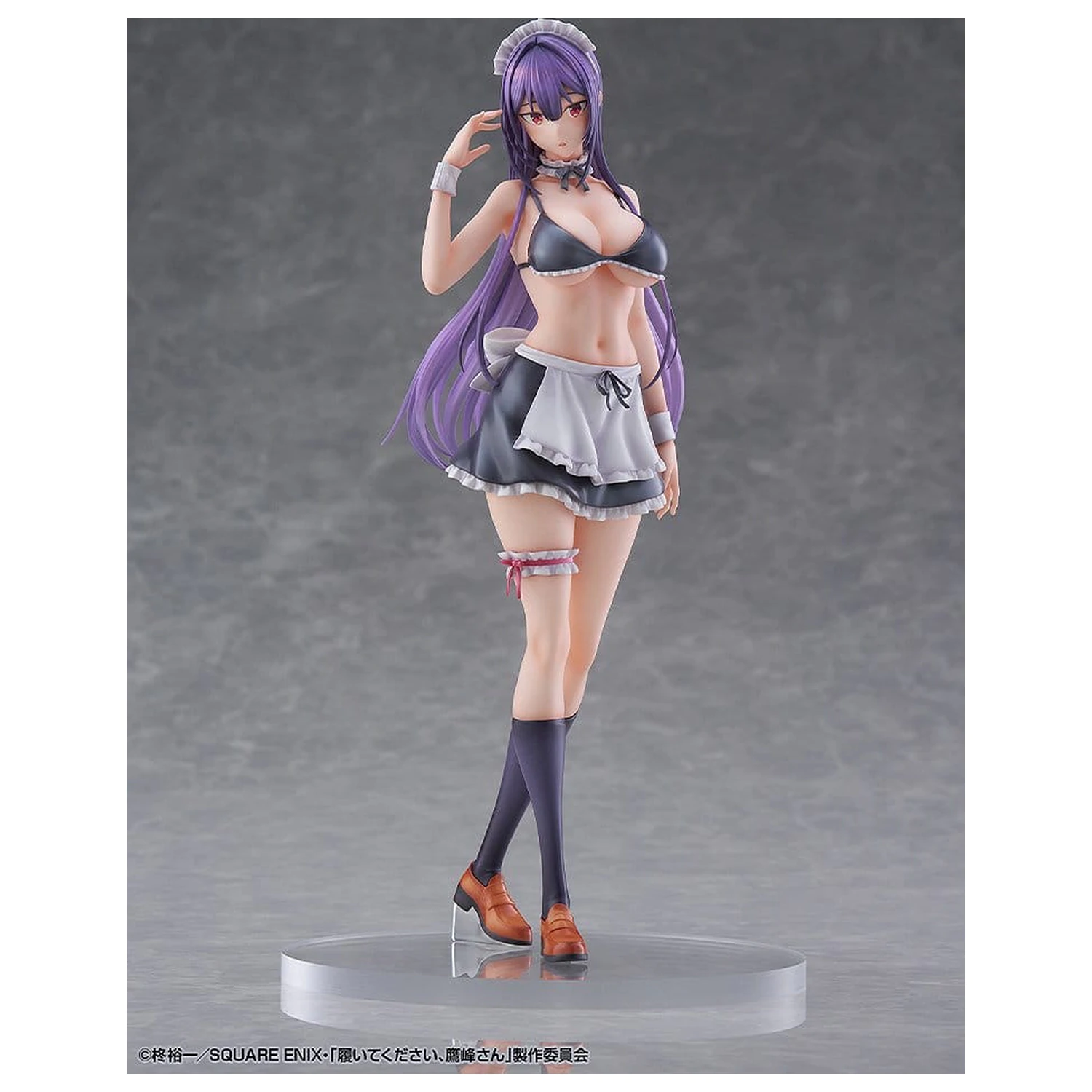 "Prosim, nataknite si jih, Takamine-san" PVC figurica 1/6 Takane Takamine 25 cm fotografija izdelka