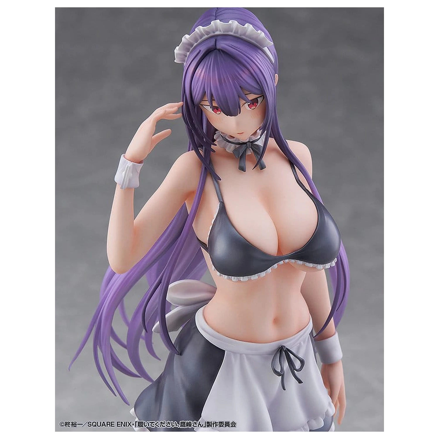 "Prosim, nataknite si jih, Takamine-san" PVC figurica 1/6 Takane Takamine 25 cm fotografija izdelka