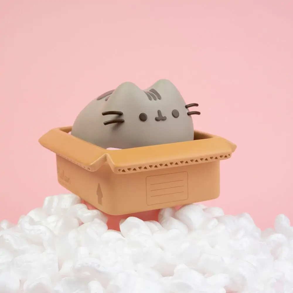 Pusheen hranilnik fotografija izdelka