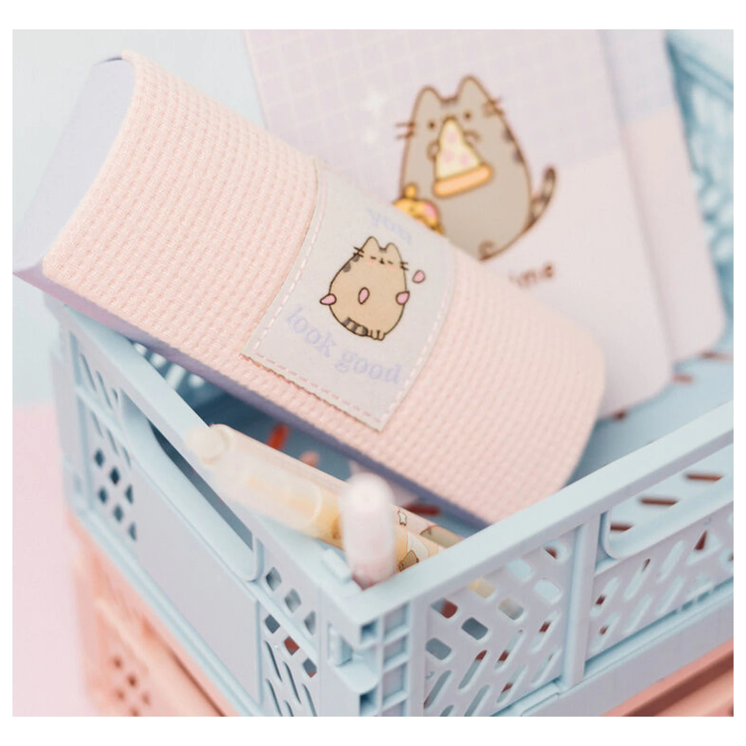 Pusheen etui za očala fotografija izdelka