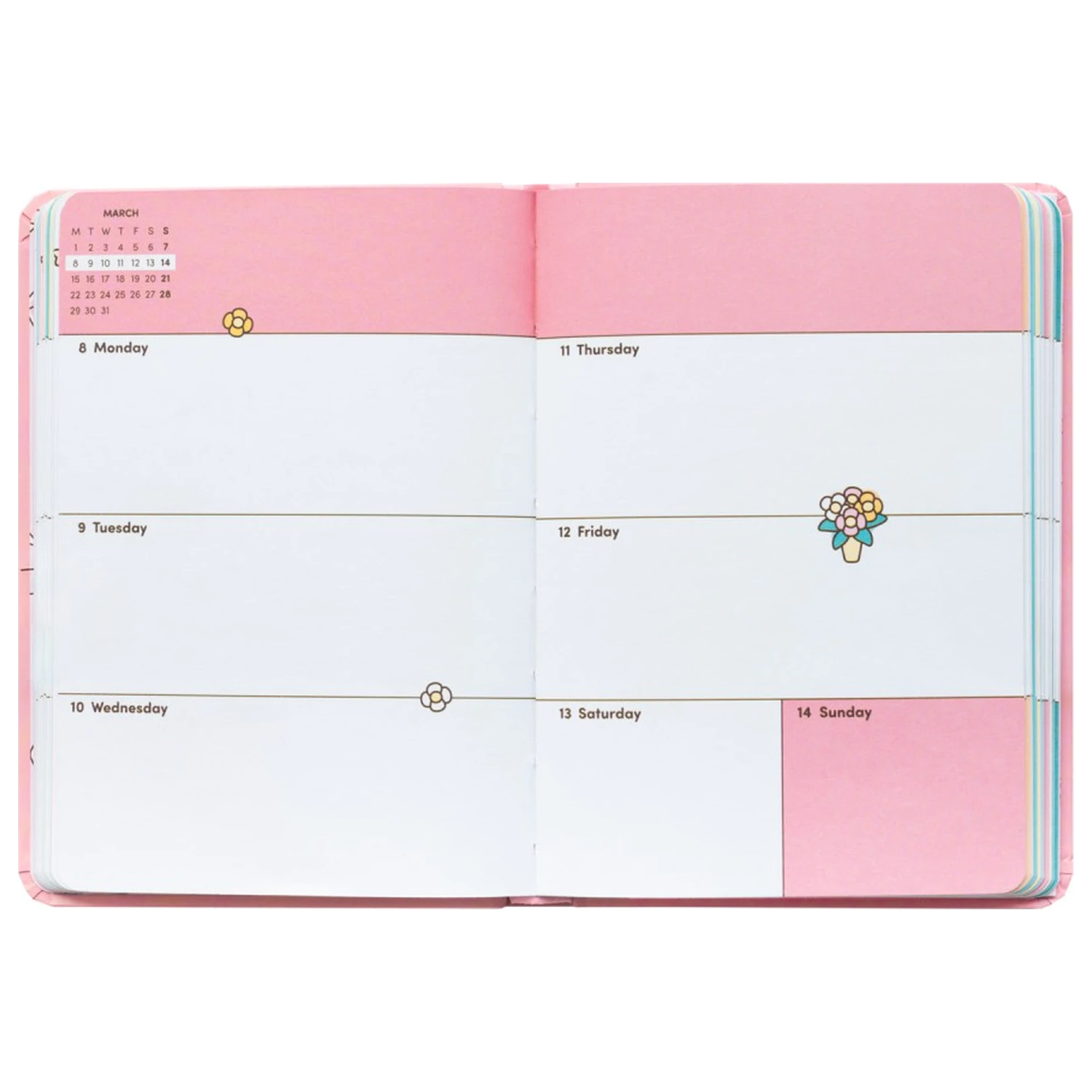 Pusheen Academic Planner Tropical Vacation 2026/27 A6 Angleška različica fotografija izdelka