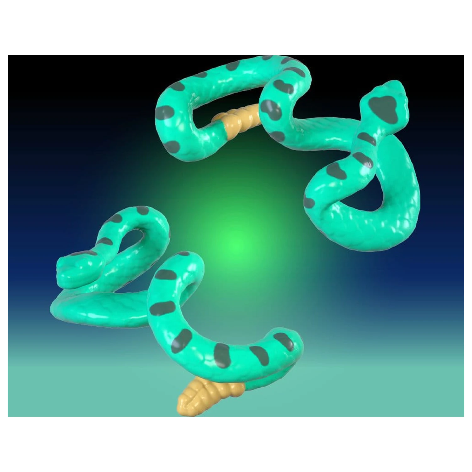 Rover Robin Plastic Model Kit prehiti Skull Rider fotografija izdelka