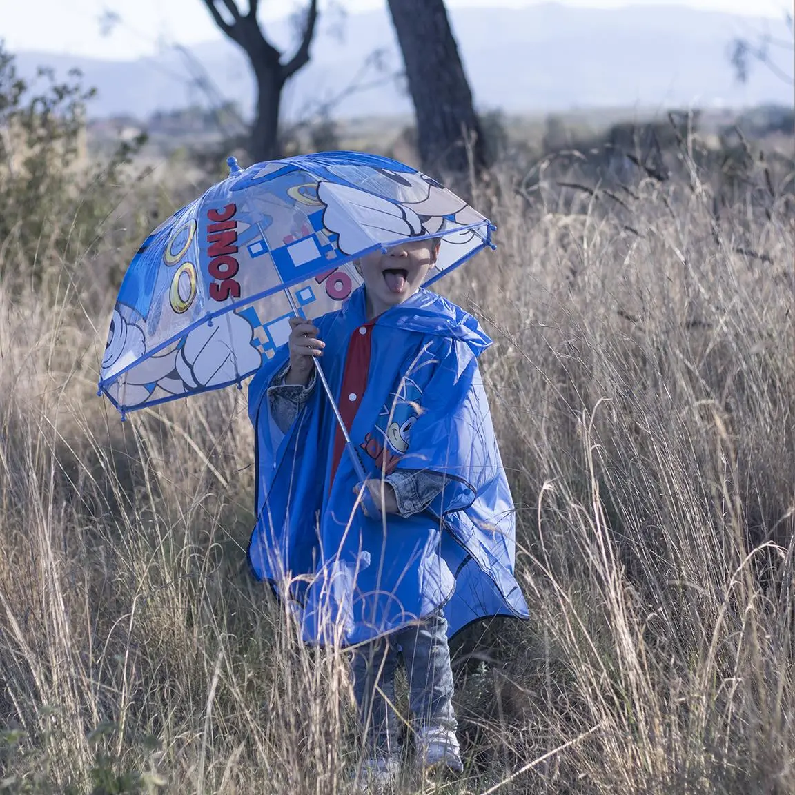 Sonic dežnik fotografija izdelka