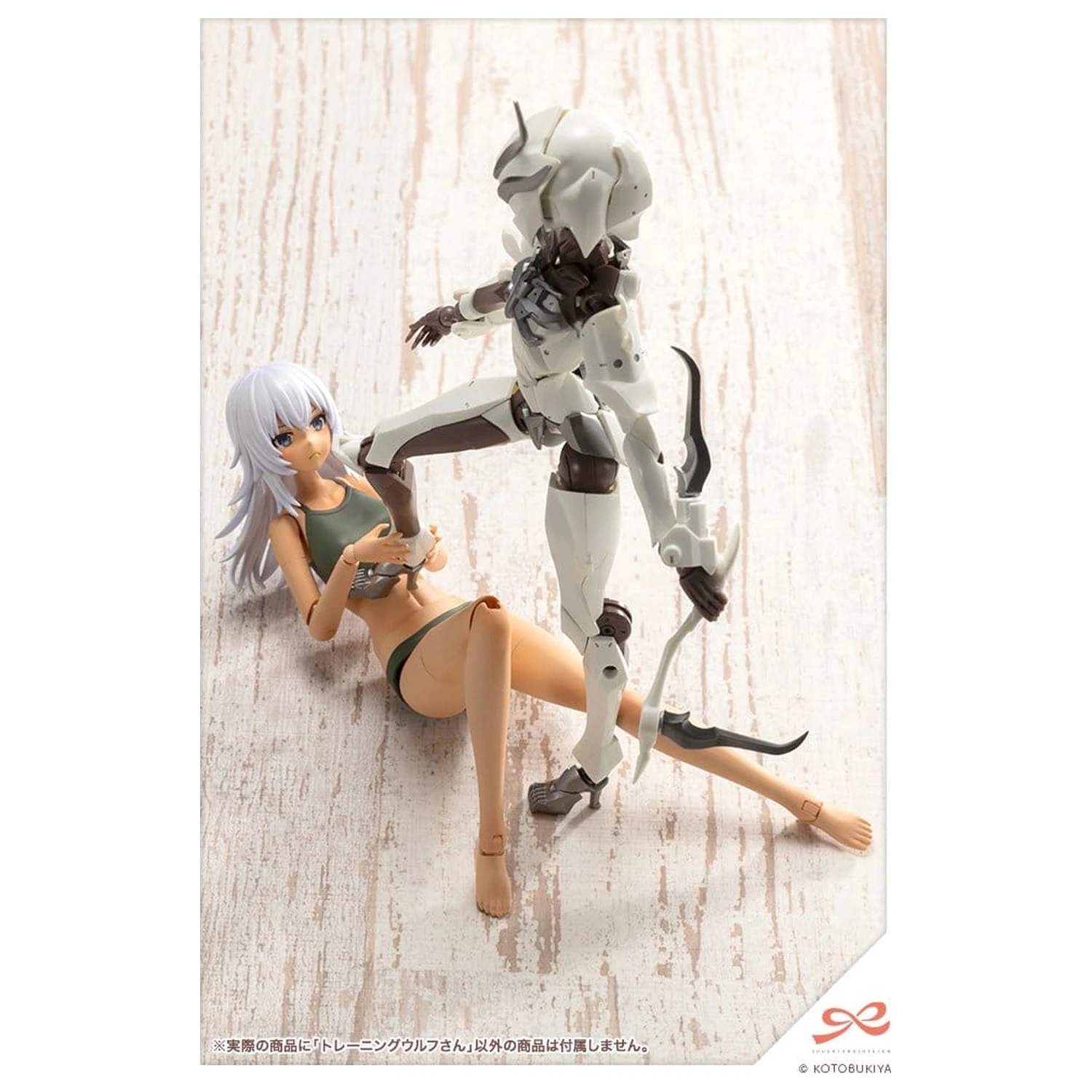 Sousai Shojo Teien Plastični model komplet 1/10 Trening Volf 16 cm fotografija izdelka