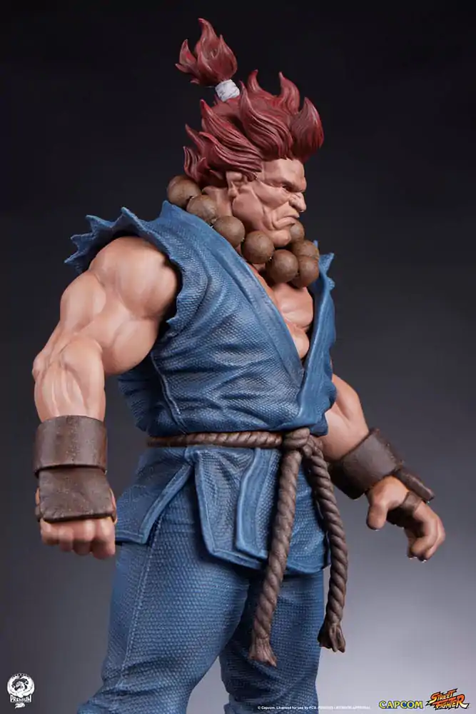 Street Fighter PVC Kipa 1/10 Akuma & Dhalsim 21 cm fotografija izdelka