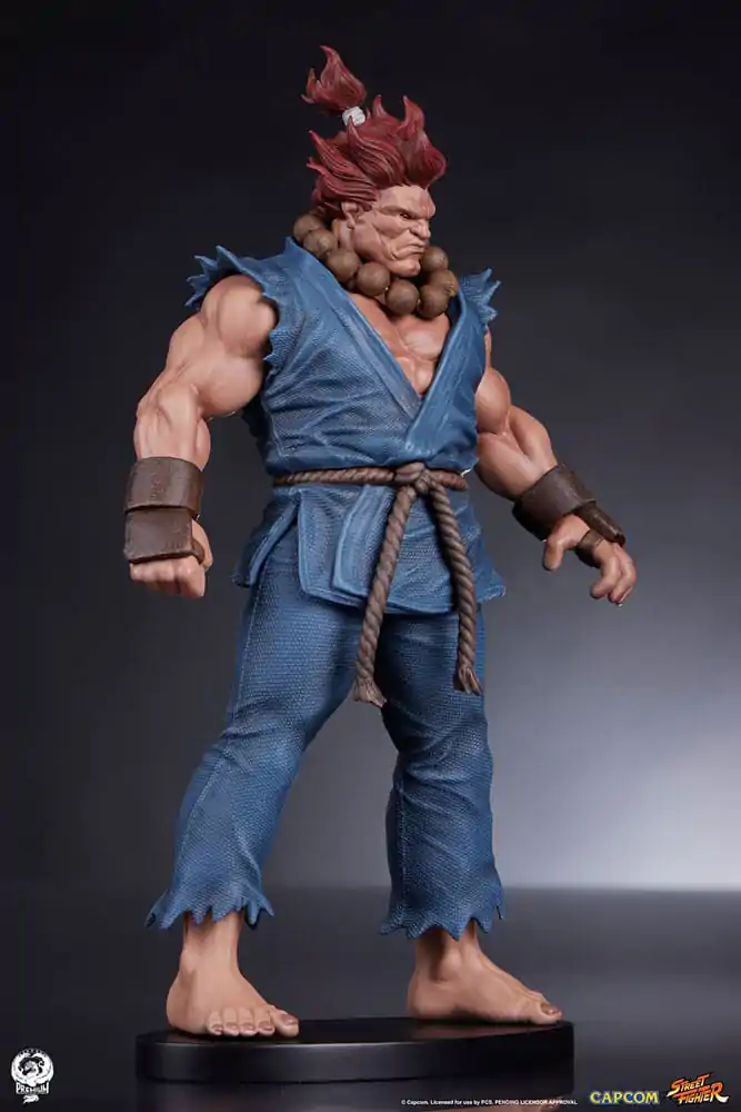 Street Fighter PVC Kipa 1/10 Akuma & Dhalsim 21 cm fotografija izdelka