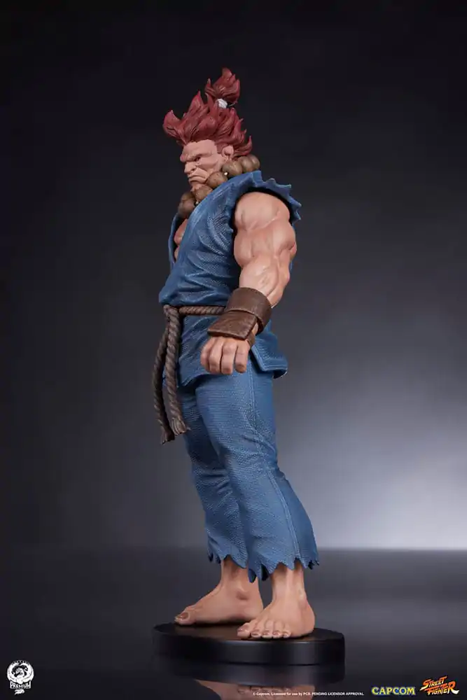 Street Fighter PVC Kipa 1/10 Akuma & Dhalsim 21 cm fotografija izdelka