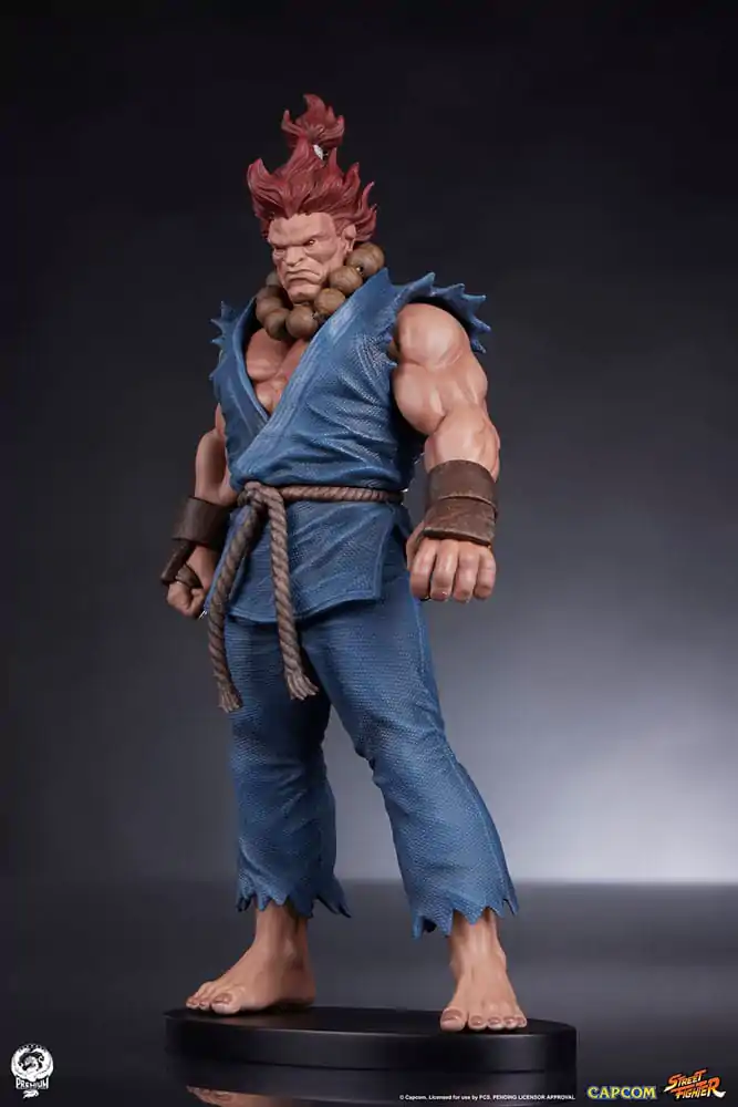 Street Fighter PVC Kipa 1/10 Akuma & Dhalsim 21 cm fotografija izdelka