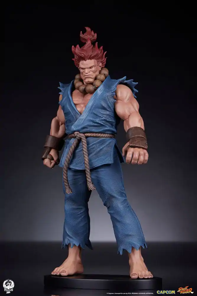 Street Fighter PVC Kipa 1/10 Akuma & Dhalsim 21 cm fotografija izdelka