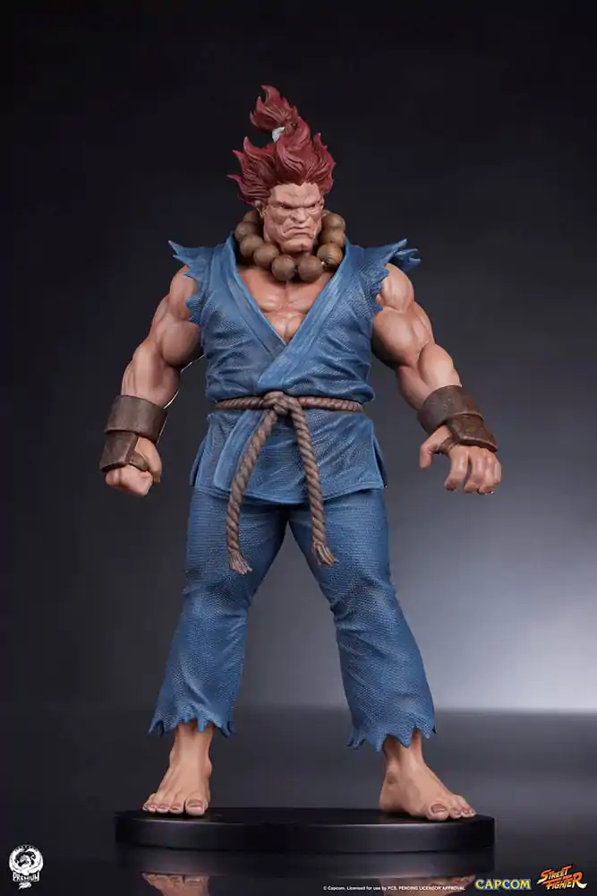 Street Fighter PVC Kipa 1/10 Akuma & Dhalsim 21 cm fotografija izdelka