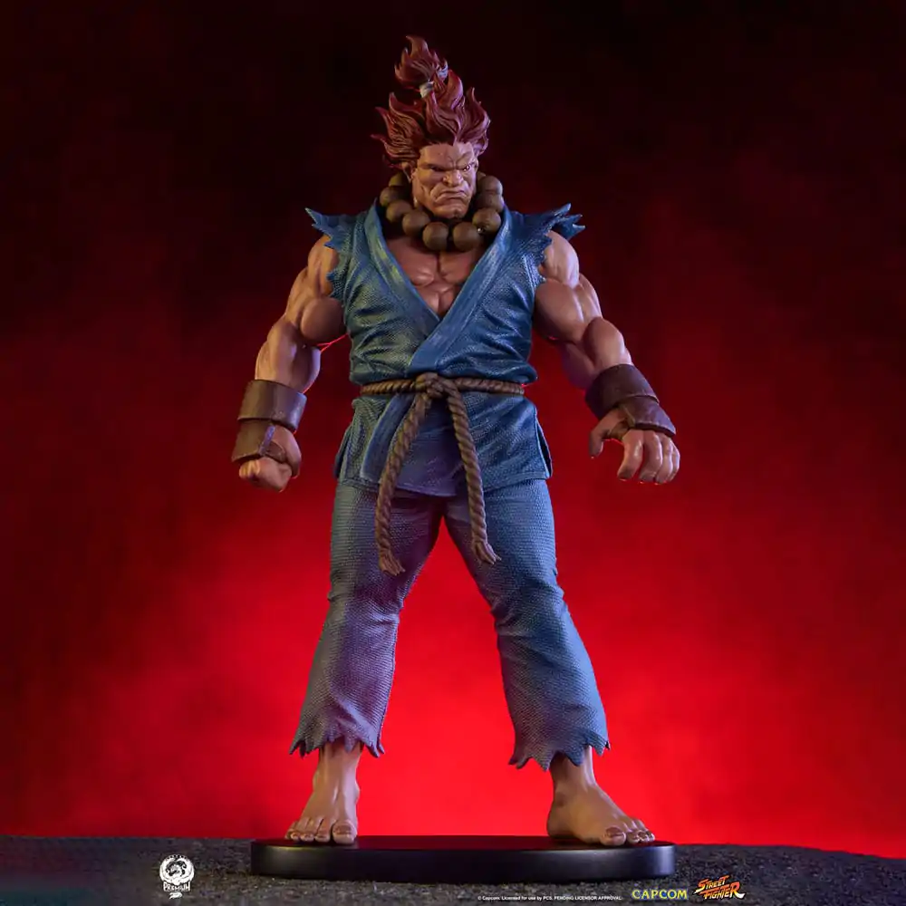 Street Fighter PVC Kipa 1/10 Akuma & Dhalsim 21 cm fotografija izdelka