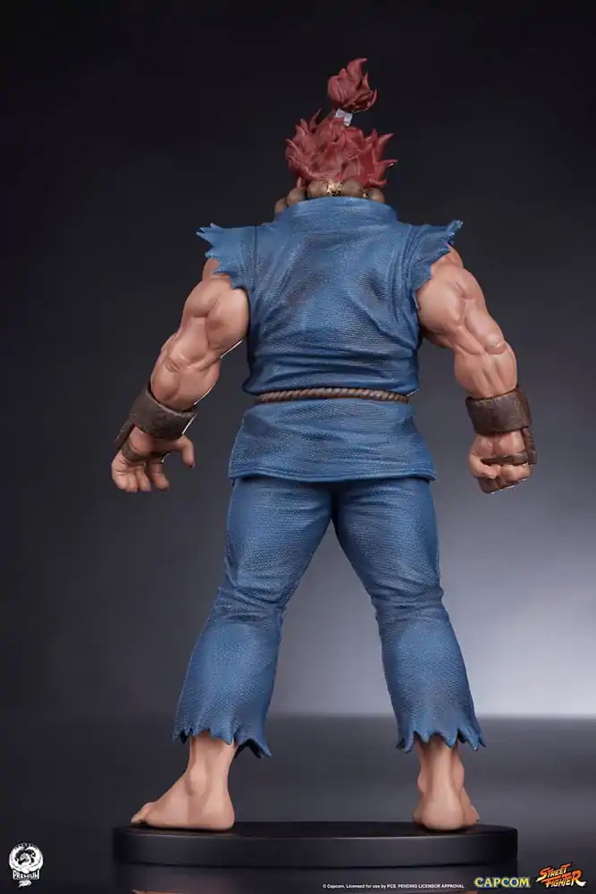 Street Fighter PVC Kipa 1/10 Akuma & Dhalsim 21 cm fotografija izdelka