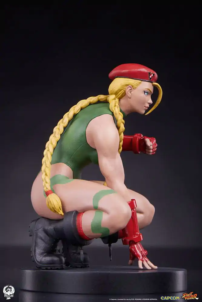 Street Fighter PVC kipa 1/10 Cammy & Birdie 24 cm fotografija izdelka