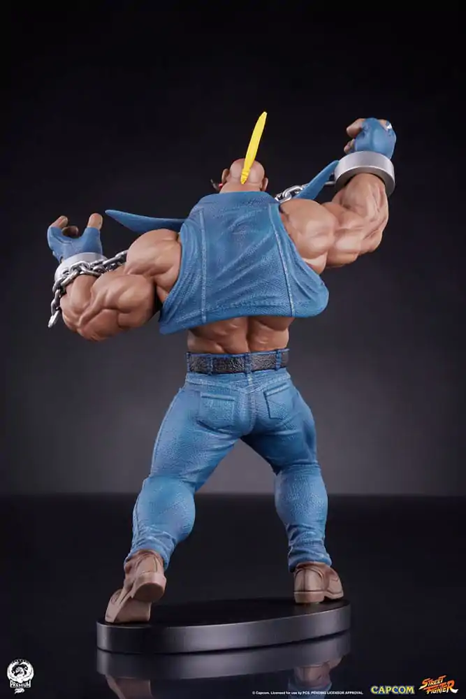 Street Fighter PVC kipa 1/10 Cammy & Birdie 24 cm fotografija izdelka