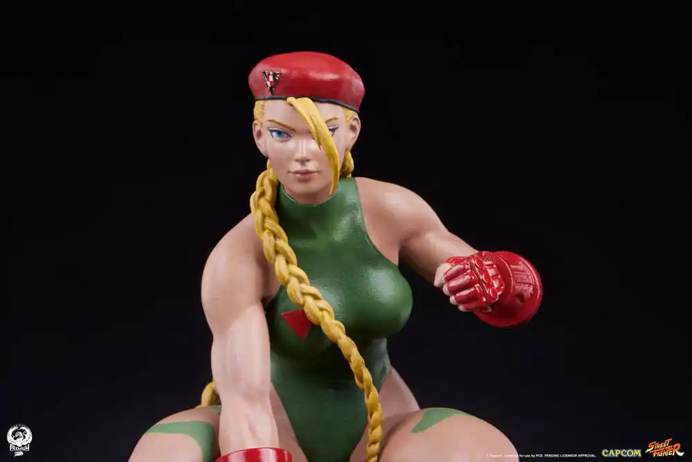 Street Fighter PVC kipa 1/10 Cammy & Birdie 24 cm fotografija izdelka