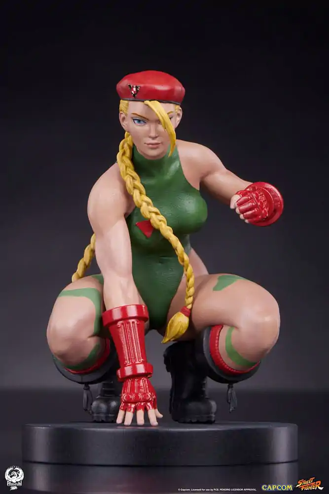 Street Fighter PVC kipa 1/10 Cammy & Birdie 24 cm fotografija izdelka