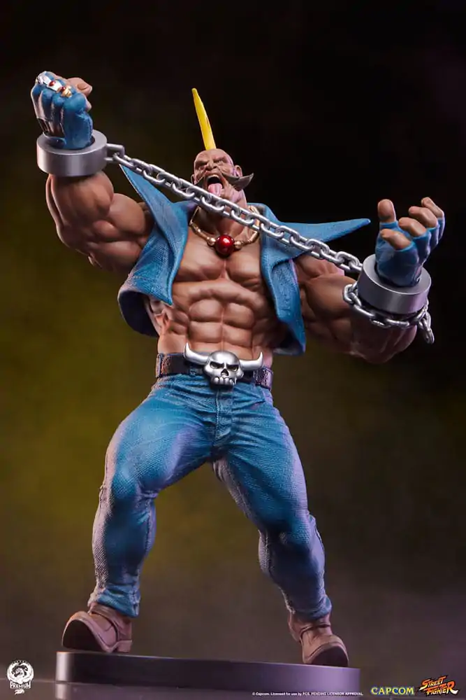 Street Fighter PVC kipa 1/10 Cammy & Birdie 24 cm fotografija izdelka