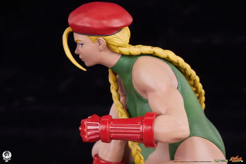 Street Fighter PVC kipa 1/10 Cammy & Birdie 24 cm fotografija izdelka