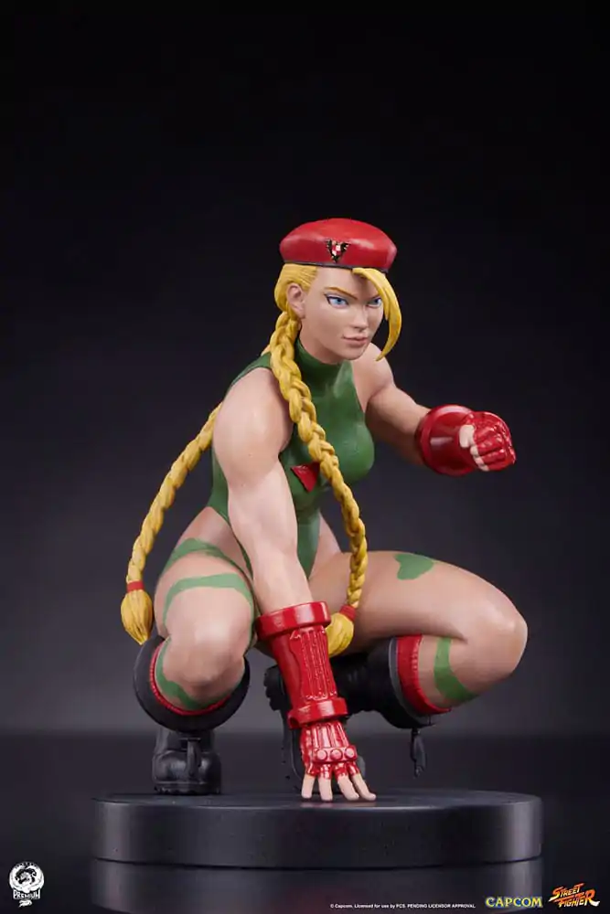 Street Fighter PVC kipa 1/10 Cammy & Birdie 24 cm fotografija izdelka