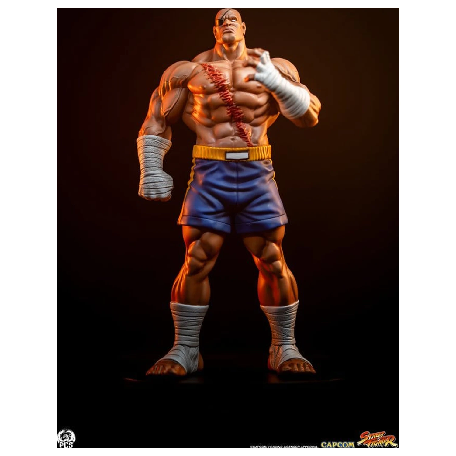 Street Fighter Street Jam Kipi 1/10 Sagat & Juli 24 cm fotografija izdelka