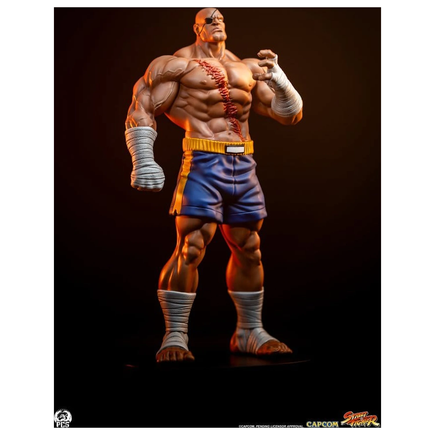 Street Fighter Street Jam Kipi 1/10 Sagat & Juli 24 cm fotografija izdelka