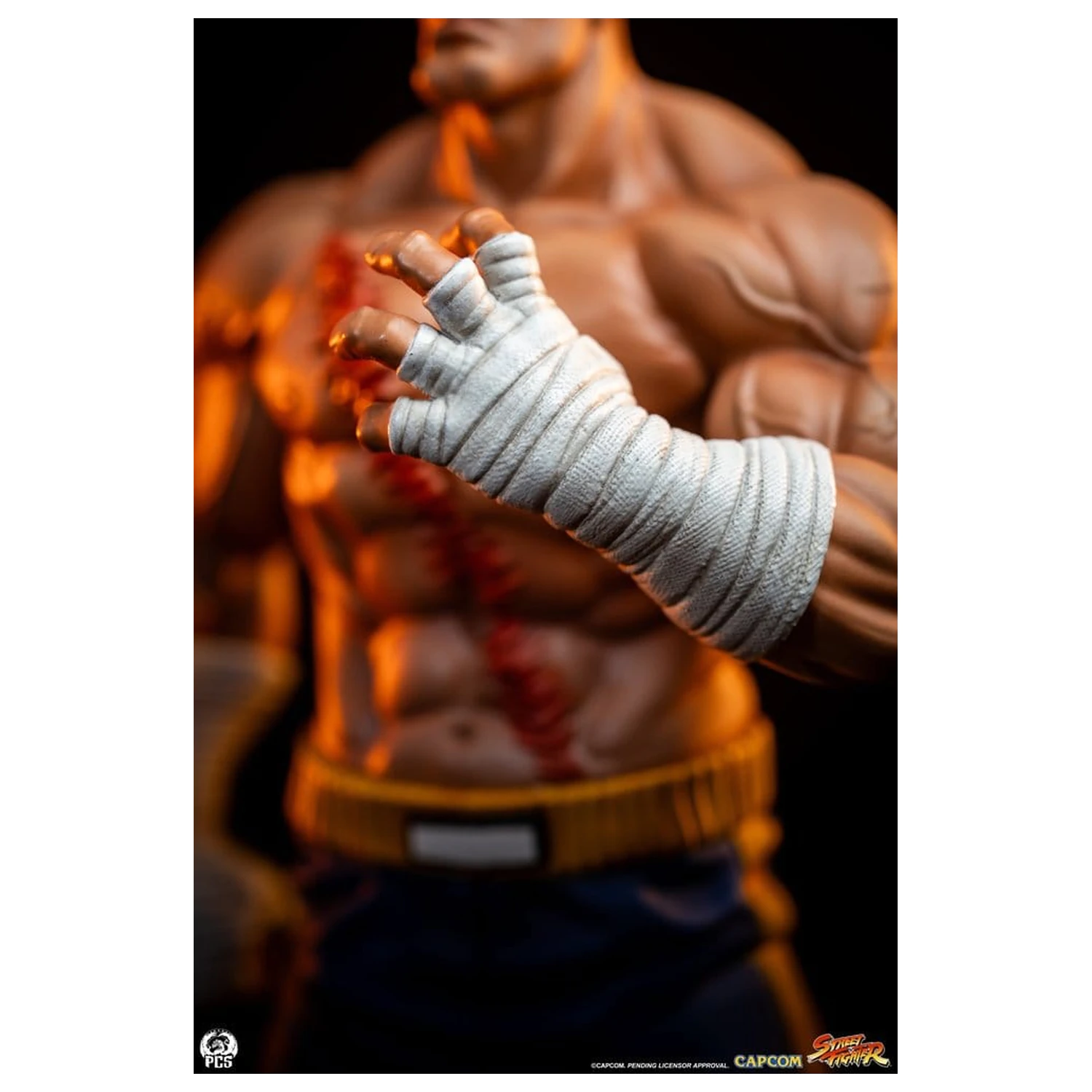 Street Fighter Street Jam Kipi 1/10 Sagat & Juli 24 cm fotografija izdelka