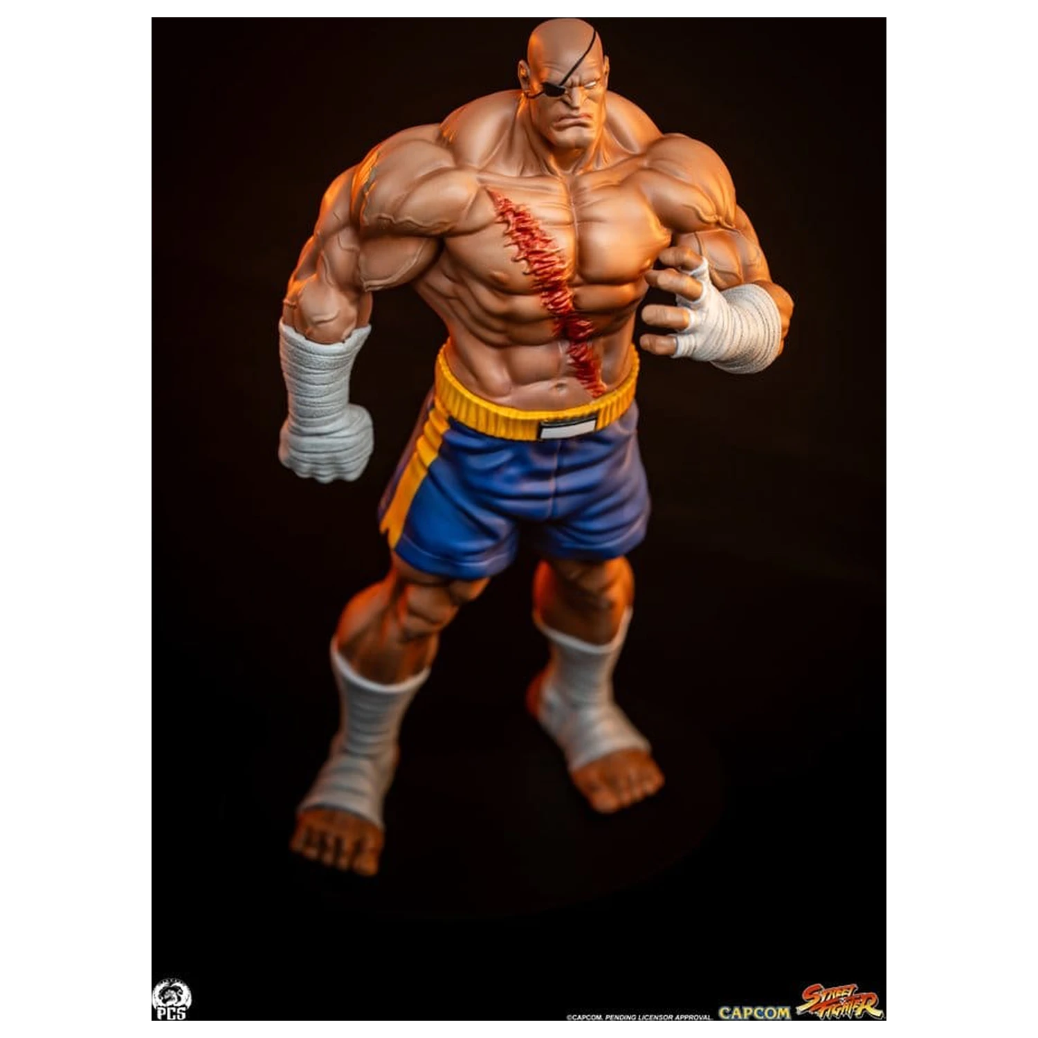 Street Fighter Street Jam Kipi 1/10 Sagat & Juli 24 cm fotografija izdelka
