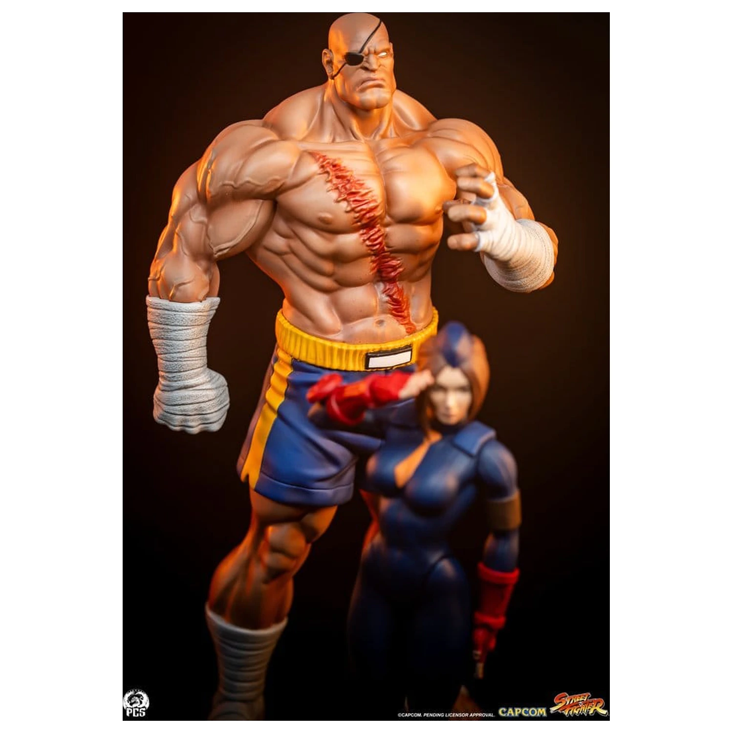 Street Fighter Street Jam Kipi 1/10 Sagat & Juli 24 cm fotografija izdelka