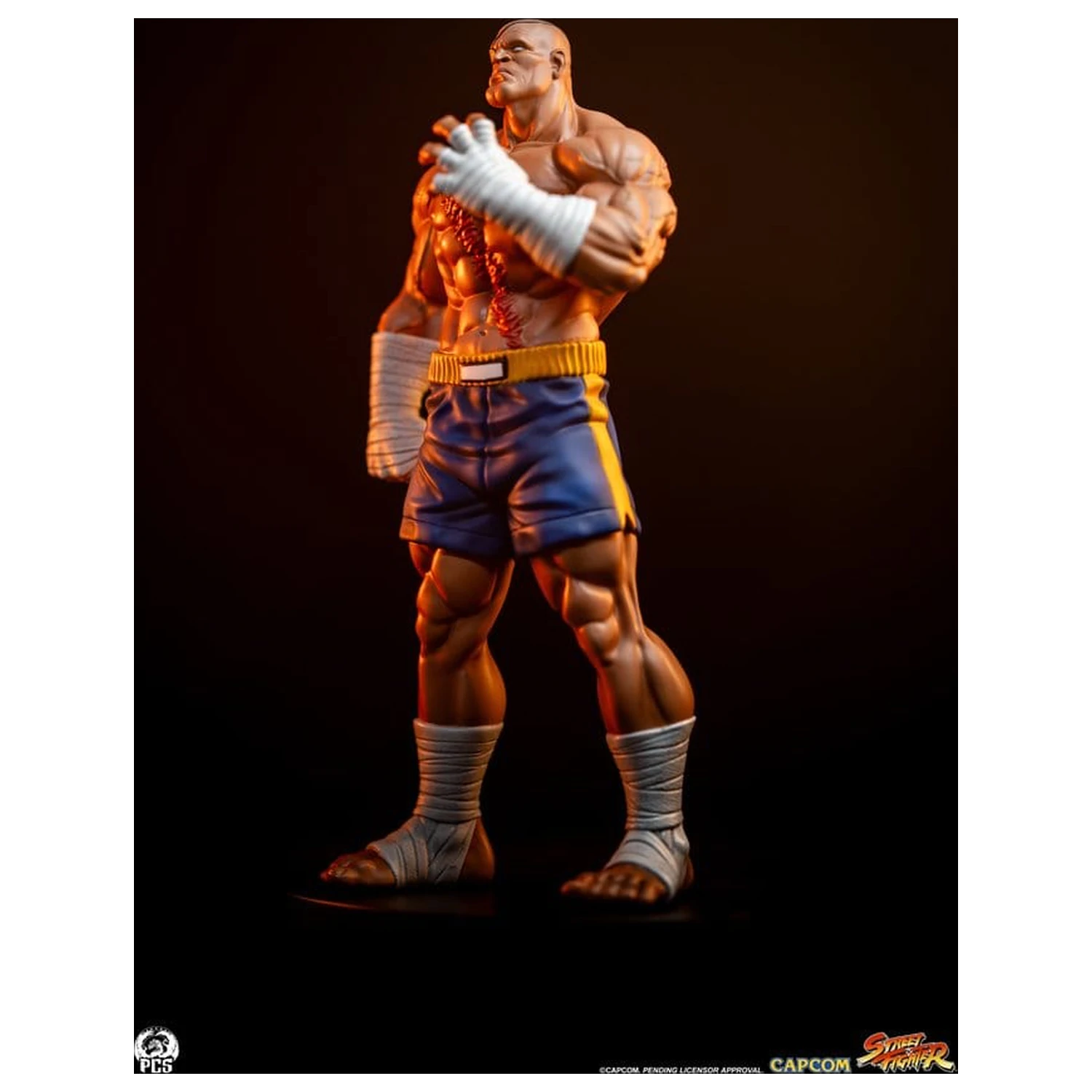 Street Fighter Street Jam Kipi 1/10 Sagat & Juli 24 cm fotografija izdelka