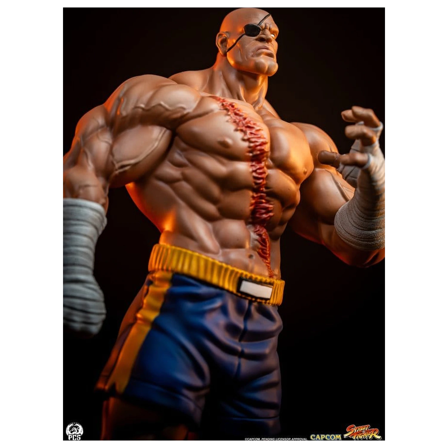 Street Fighter Street Jam Kipi 1/10 Sagat & Juli 24 cm fotografija izdelka
