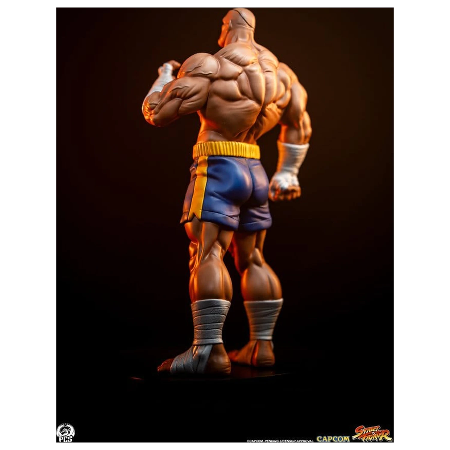 Street Fighter Street Jam Kipi 1/10 Sagat & Juli 24 cm fotografija izdelka