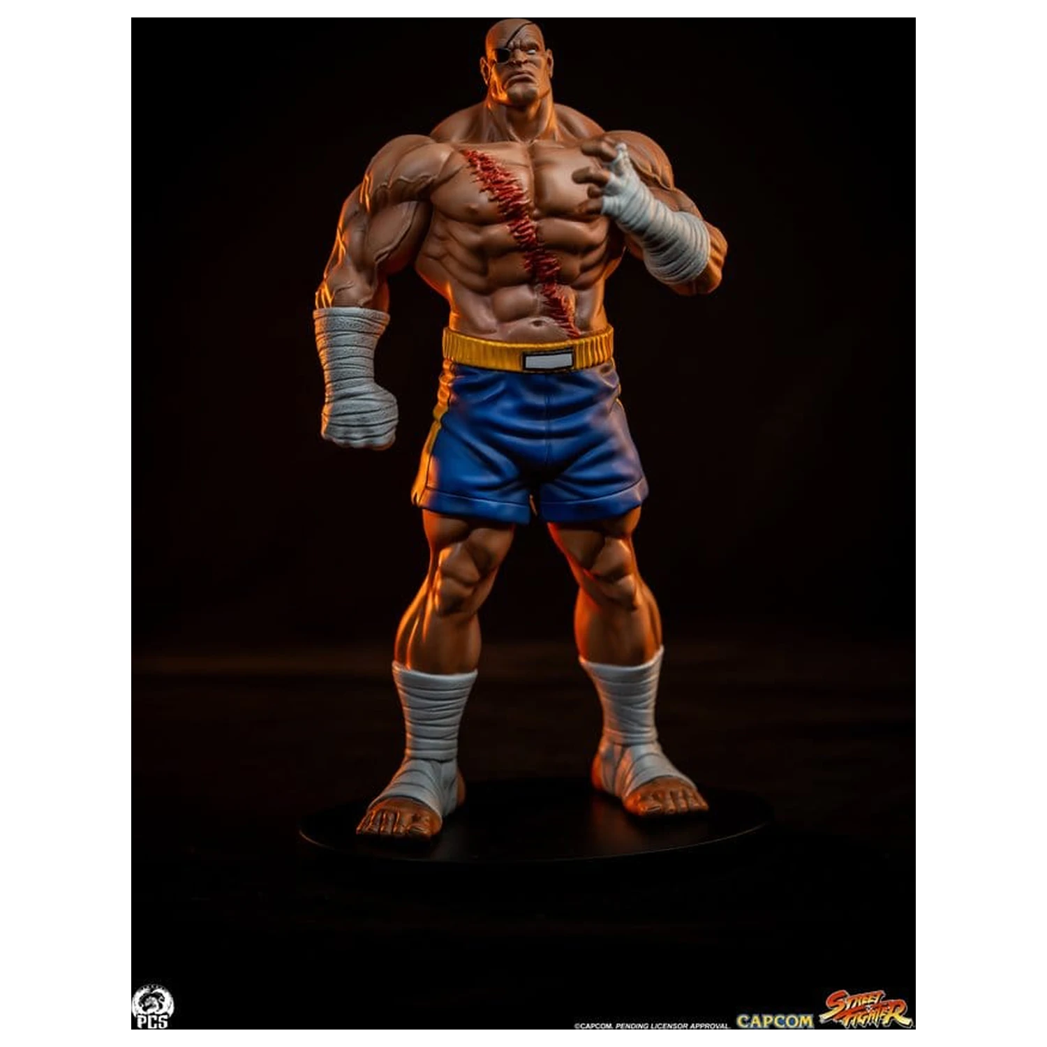 Street Fighter Street Jam Kipi 1/10 Sagat & Juli 24 cm fotografija izdelka