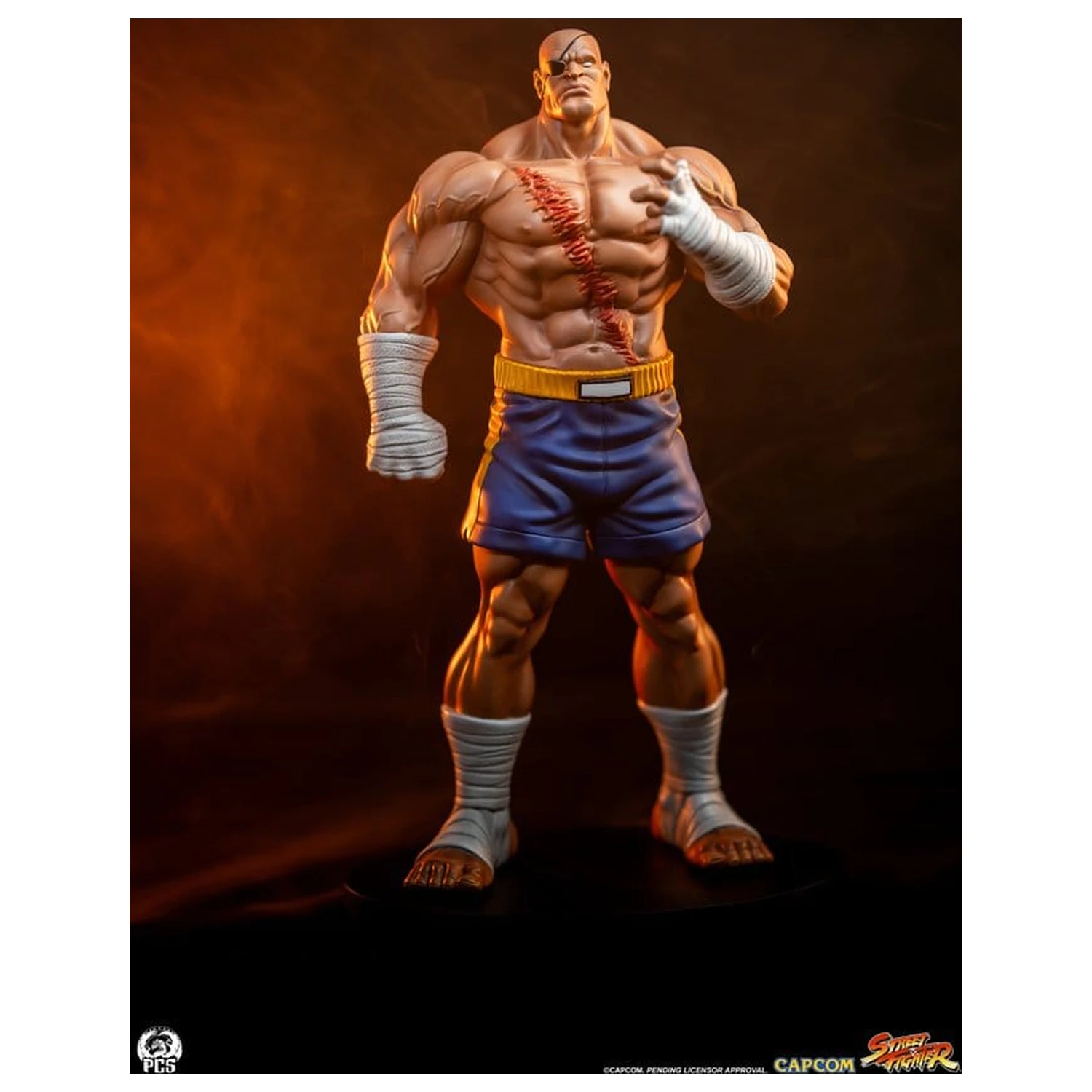 Street Fighter Street Jam Kipi 1/10 Sagat & Juli 24 cm fotografija izdelka