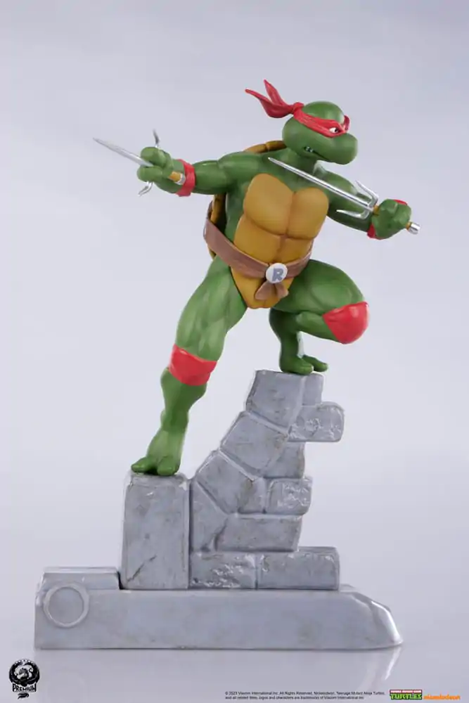Teenage Mutant Ninja Turtles PVC kip, paket 4 kosov fotografija izdelka