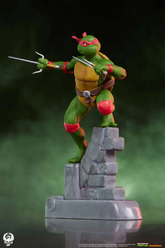 Teenage Mutant Ninja Turtles PVC kip, paket 4 kosov fotografija izdelka