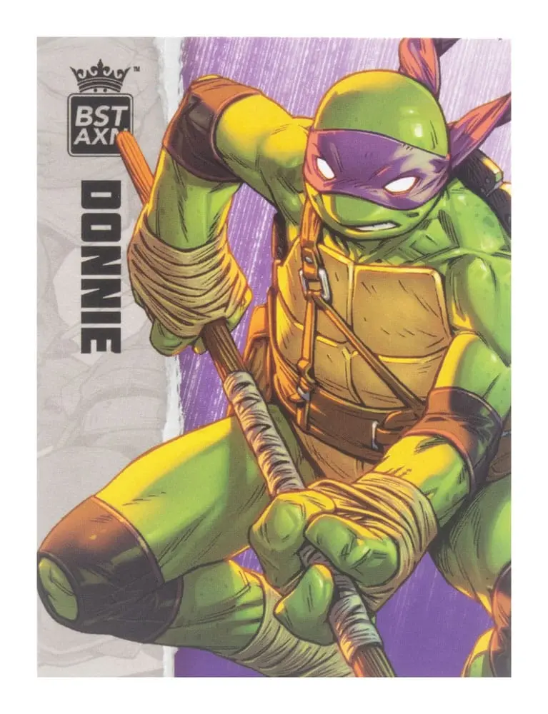 Teenage Mutant Ninja Turtles BST AXN Akcijska figura Donatello (IDW Comics) 13 cm fotografija izdelka